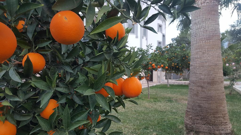 غرين غاردن أوتيل كمر المظهر الخارجي الصورة